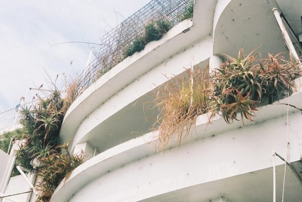 🏢 사와다 맨션(사와다 만숀) 이미지 3